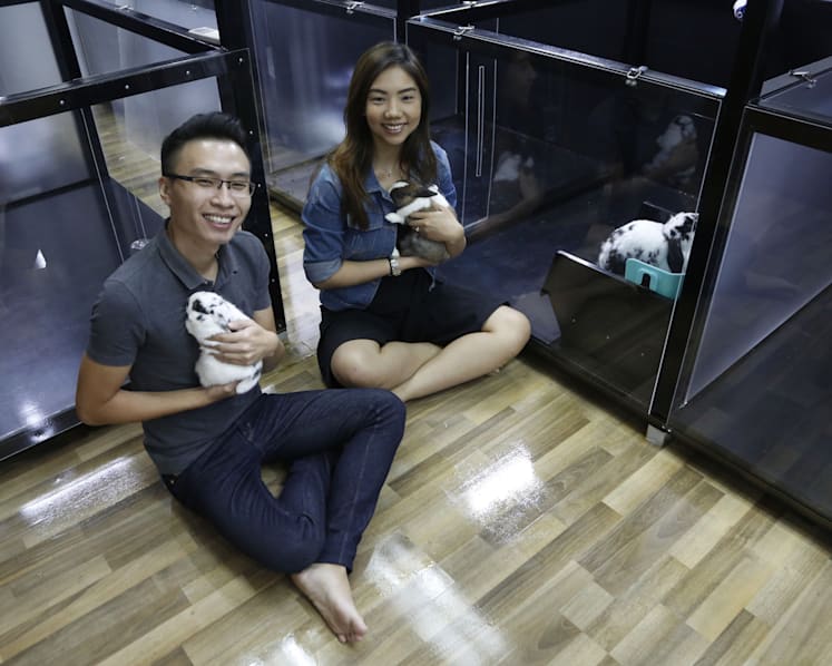 Search for pet sitter leads couple to start first commercial boarding service for rabbits and rodents