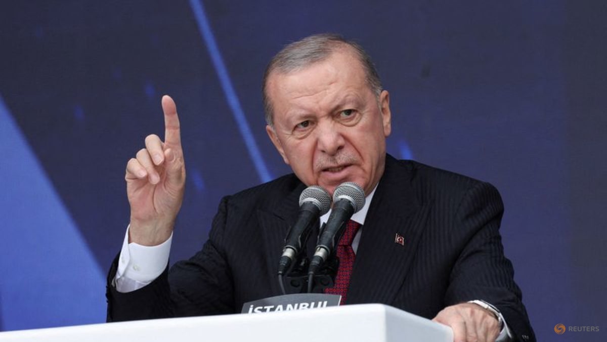 Erdogan pushes Putin on ‘limited ceasefire’ at ports, energy facilities