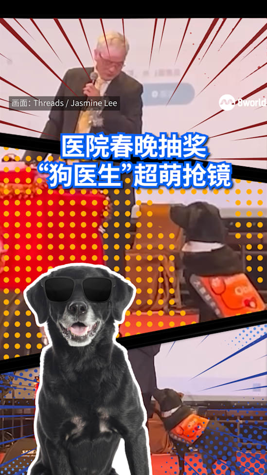 20260211_Dogtor taiwan_vod1
