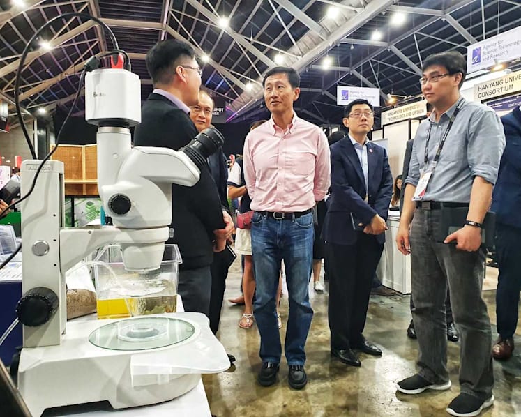 ‘Green finance’ led by S’pore can help mobilise global action against climate change: Ong Ye Kung