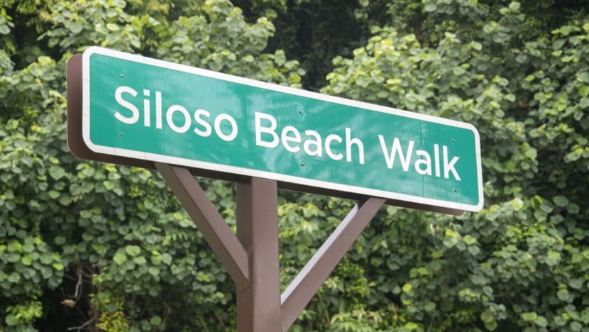 Man charged with trespassing into Sentosa toilet to molest woman on New Year's Day Man charged with trespassing into Sentosa toilet to molest woman on New Year's Day