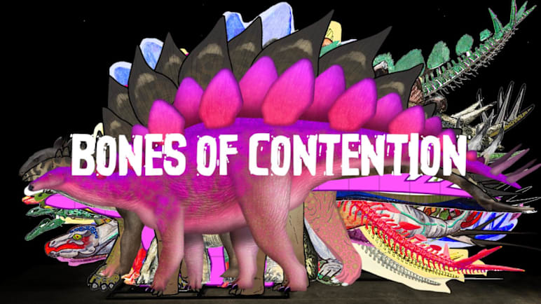 Bones of Contention