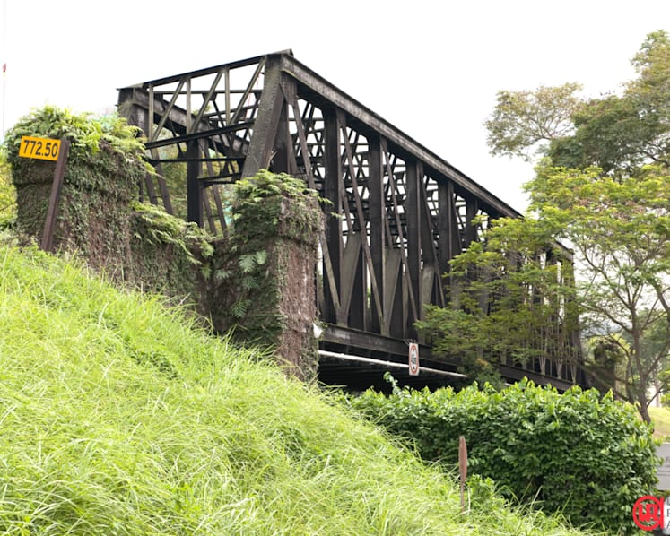 Iconic steel bridges along Rail Corridor up for conservation