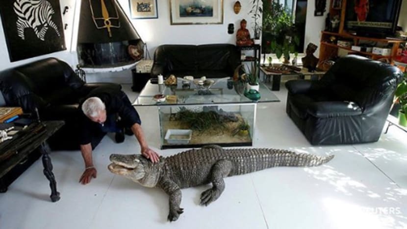 Lelaki Perancis ini tidak gentar tinggal serumah dengan 400 reptilia termasuk ular bisa, buaya