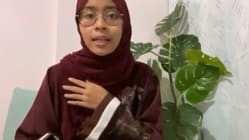 Related article image