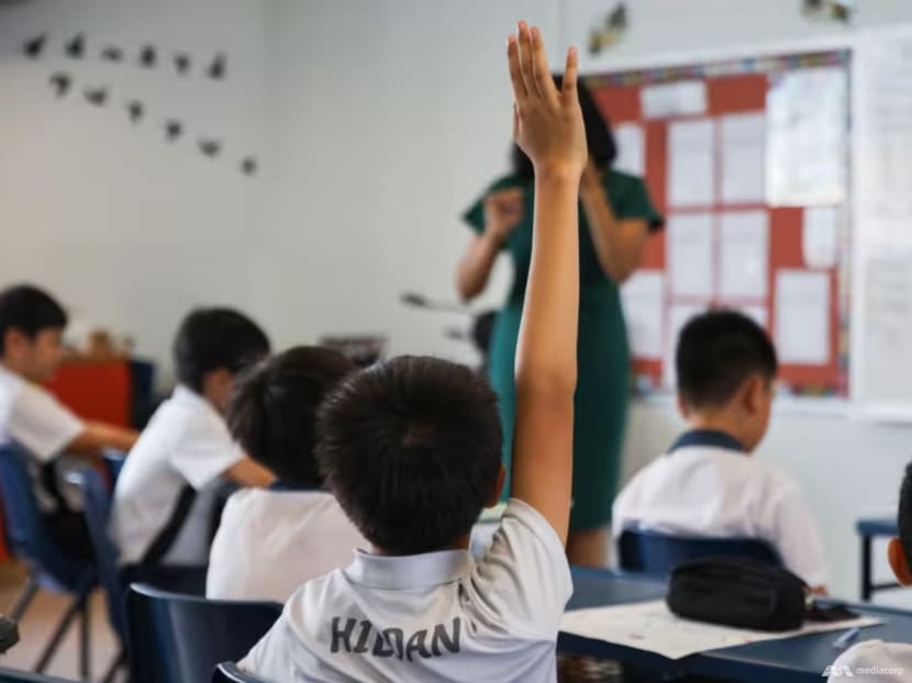 The Big Read: 'Excuse me, are you gifted?' A deeper look at gifted education and its relevance to society The Big Read: 'Excuse me, are you gifted?' A deeper look at gifted education and its relevance to society