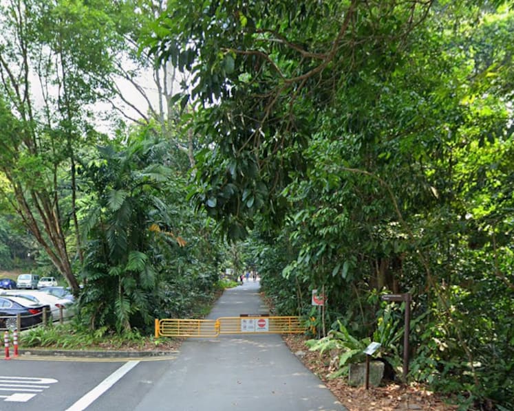Cyclist jailed for obstructing NParks officer while trying to exit closed trail in Bukit Timah Nature Reserve