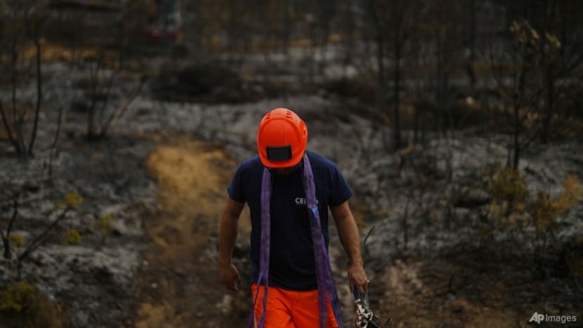 Firefighters bring huge blaze in France under control