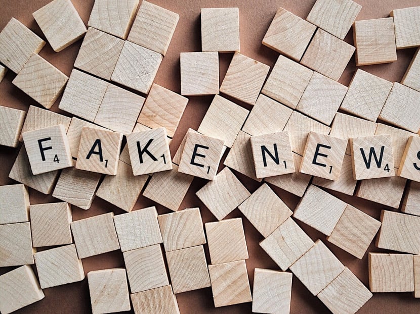 The committee set up by the Government to study the issue of online falsehoods has invited 79 individuals and organisations to provide their views at its public hearings. Photo illustration: Pixabay