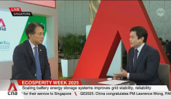 Philanthropy speeds up Asia’s clean energy future: GEAPP CEO