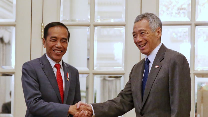 Singapore and Indonesia reaffirm 'excellent' ties, pledge to deepen cooperation