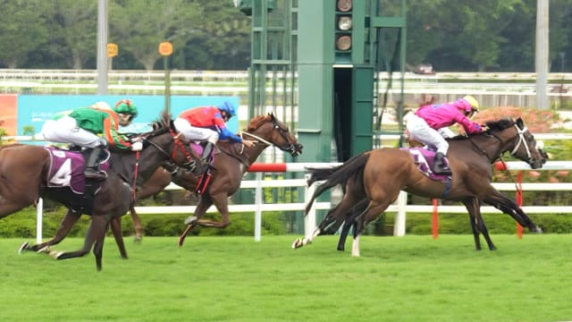 马场举行最后打比赛 逾5000人到场观赛