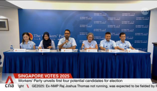 GE2025: Workers' Party manifesto calls for GST exemptions, minimum wage and wealth tax