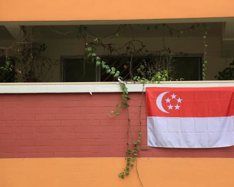 No bail offered to man charged in court over burning Singapore flags