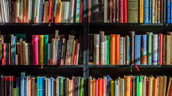 Related article image