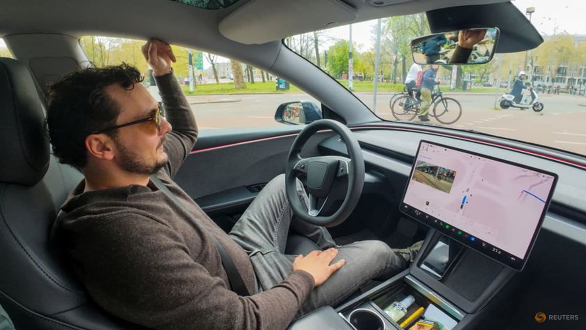 Inside one of Amsterdam's first supervised self-driving Teslas
