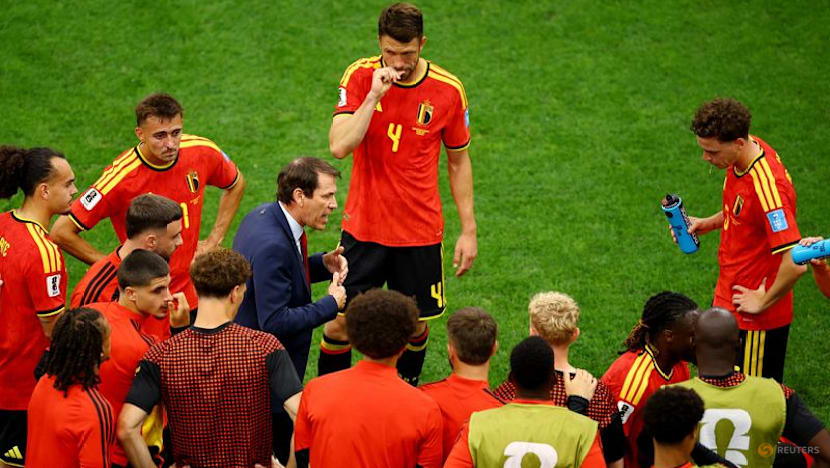 Oldies but goodies: Belgium coach Garcia lauds his leaders after win over NZ