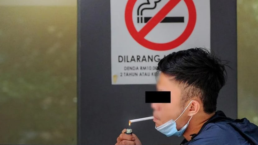 Ahli Parlimen M'sia diseru sokong rang undang-undang kawal produk tembakau & merokok