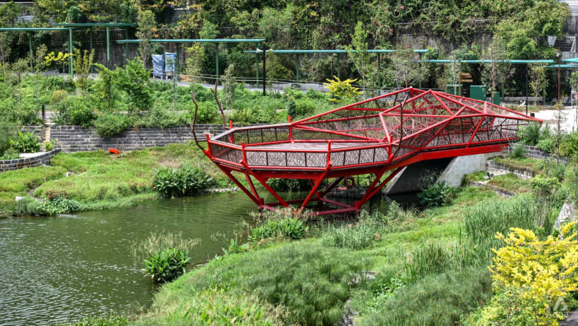 New Bidadari Park inspired by Winnie the Pooh forest, features recreational lake, trails and treehouse playground New Bidadari Park inspired by Winnie the Pooh forest, features recreational lake, trails and treehouse playground