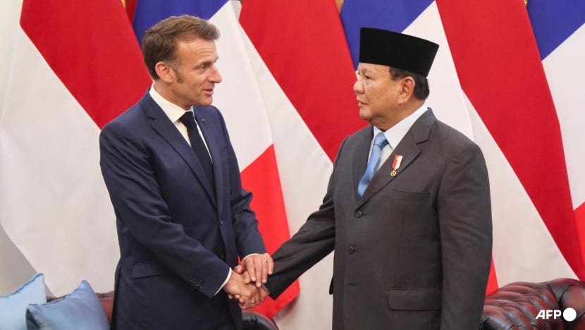 France's Macron, Indonesia's Prabowo to discuss defence ties France's Macron, Indonesia's Prabowo to discuss defence ties