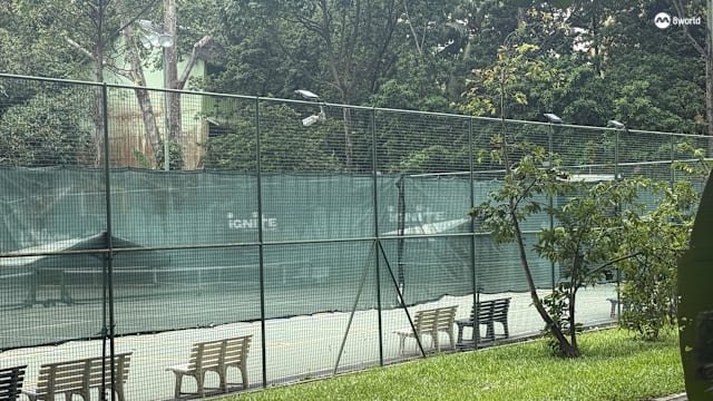 因发出噪音且未获批准 网球学院被令禁止匹克球活动