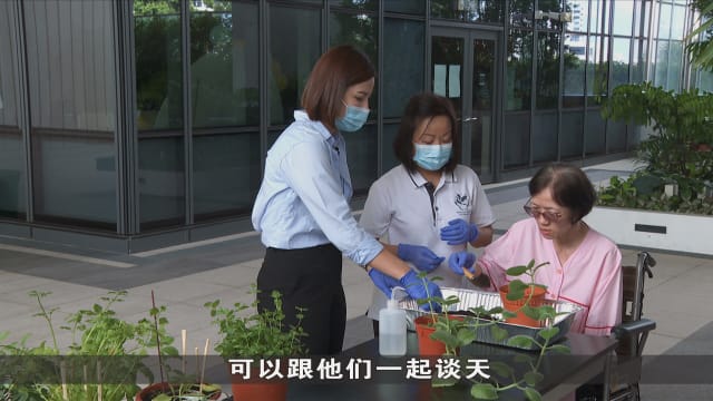 狮城有约 | 守护人：生命进入倒计时 我们如何温柔告别