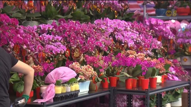 农历新年脚步临近 香港15个年货市场正式开跑