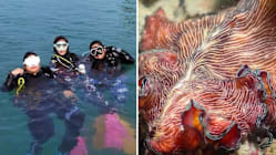 Related article image