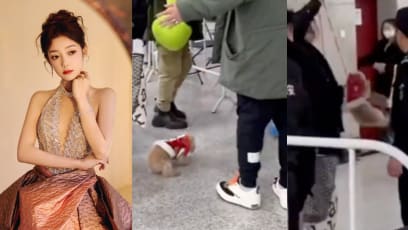 Chinese Singer Who Studied In S'pore Criticised For Lifting Her Dog Up By Its Leash