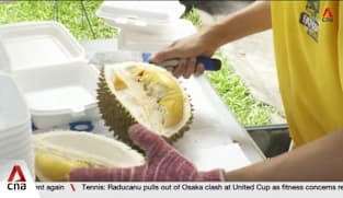Mao Shan Wang durian prices lowest in 10 years on back of bumper crop in Malaysia 