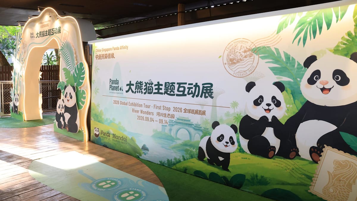 River Wonders to host Panda Planet exhibition and celebrate Jia Jia and Kai Kai’s birthdays this September