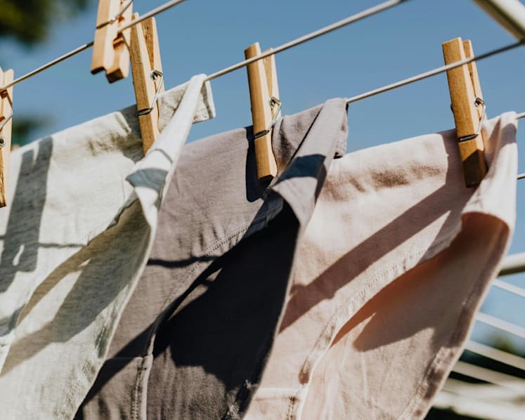 Jail for man, 67, who repeatedly stole woman's underwear, then wrote letters and sent her pictures of him wearing her panties