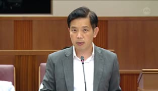 Alvin Tan on reviewing regulations for pet businesses
