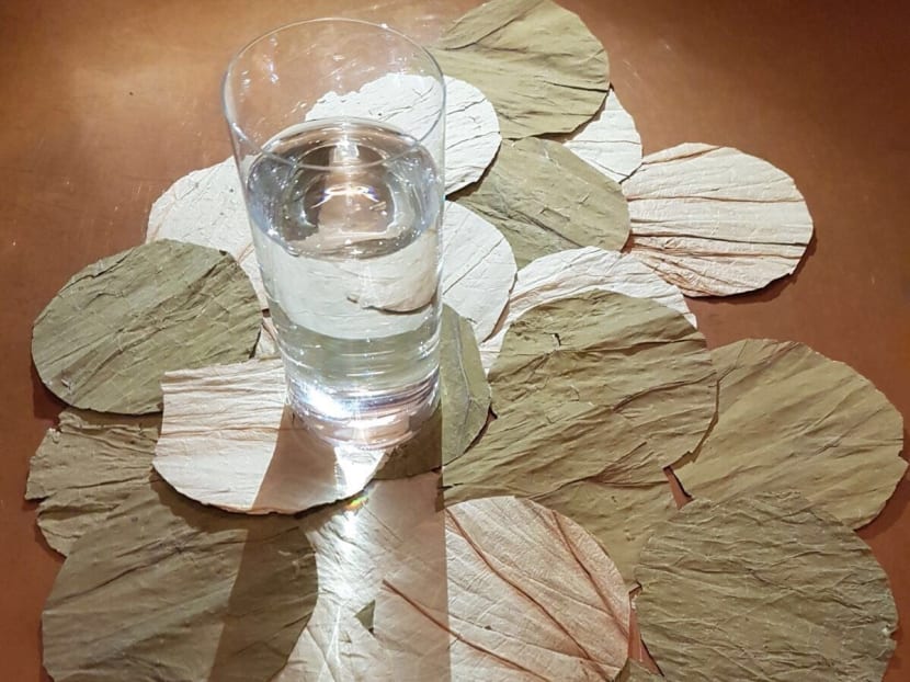 Raising the bar for a greener cocktail scene