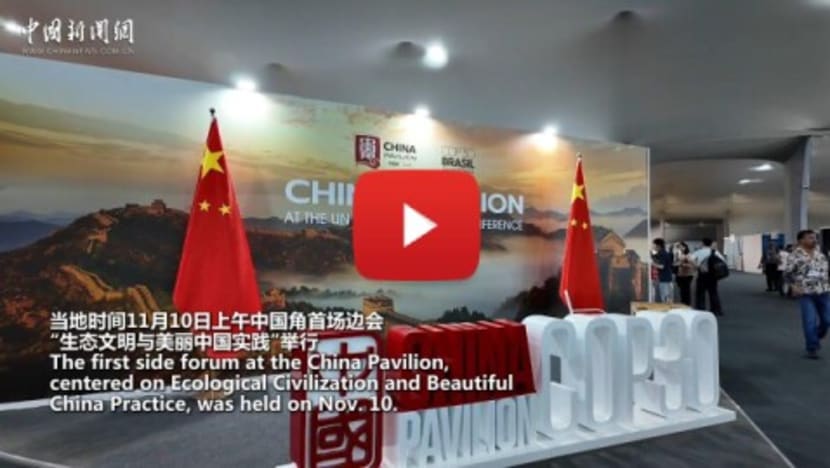 China highlights green achievements at COP30 side session