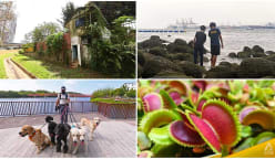 Up Your Alley: Punggol’s gleaming waterfront living steeped in rustic charm