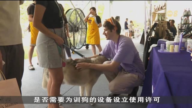 狗儿训练标准工作小组制定指南 为训犬师和宠物主人提供参考