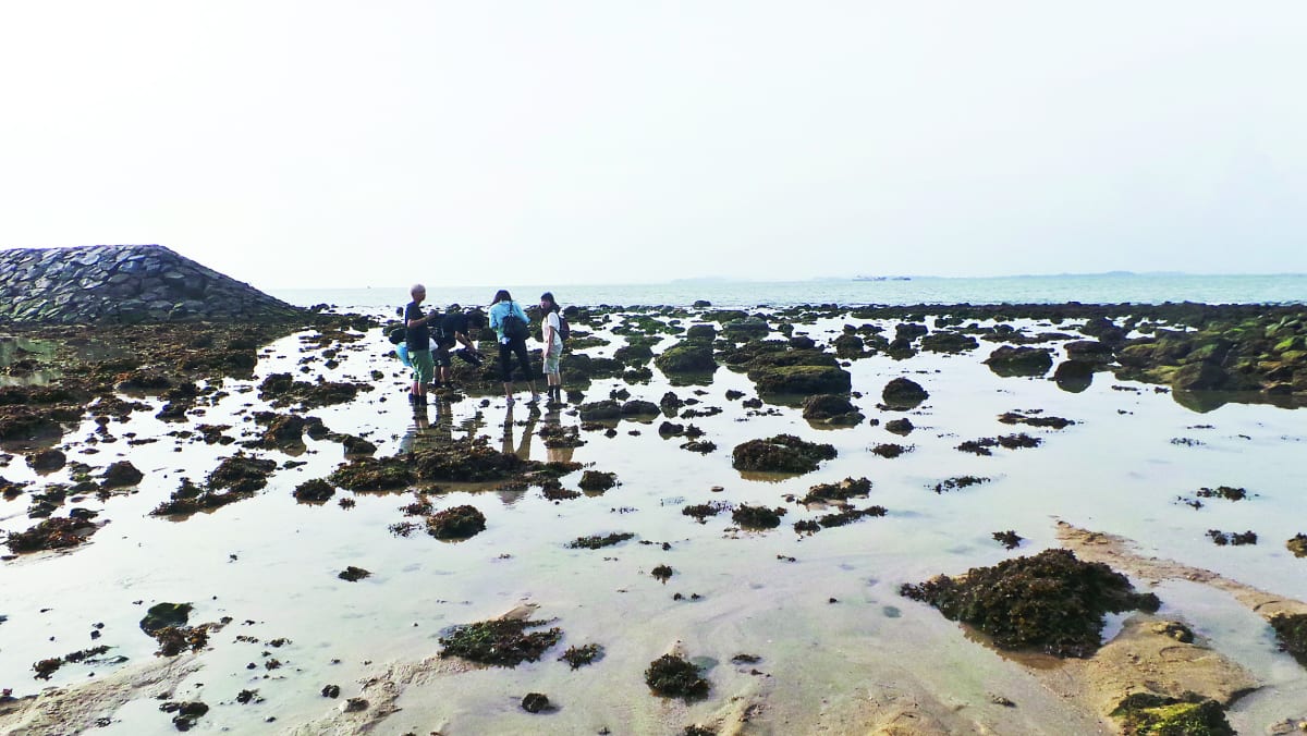 Island-hopping 101 - TODAY