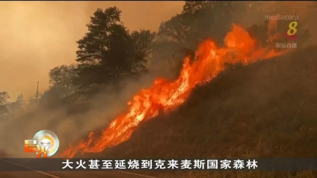 气候变化加剧 葡萄牙进入极端高温红色警戒