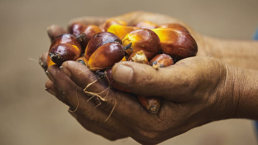 Most S’pore brands not transparent about palm oil usage, says WWF