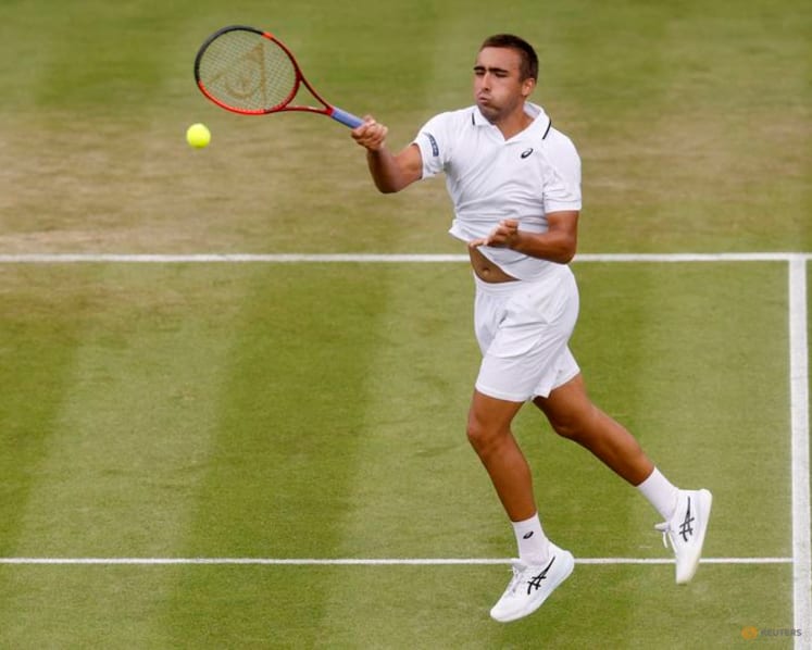 Medvedev labours into Wimbledon third round