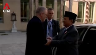 Australian PM Albanese to meet Indonesian President Prabowo during 2-day state visit