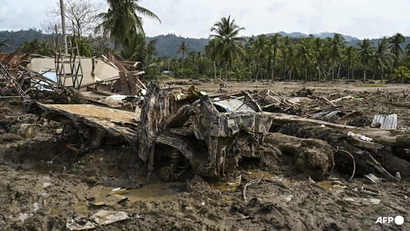 Indonesia revokes permits of 28 firms after deadly floods