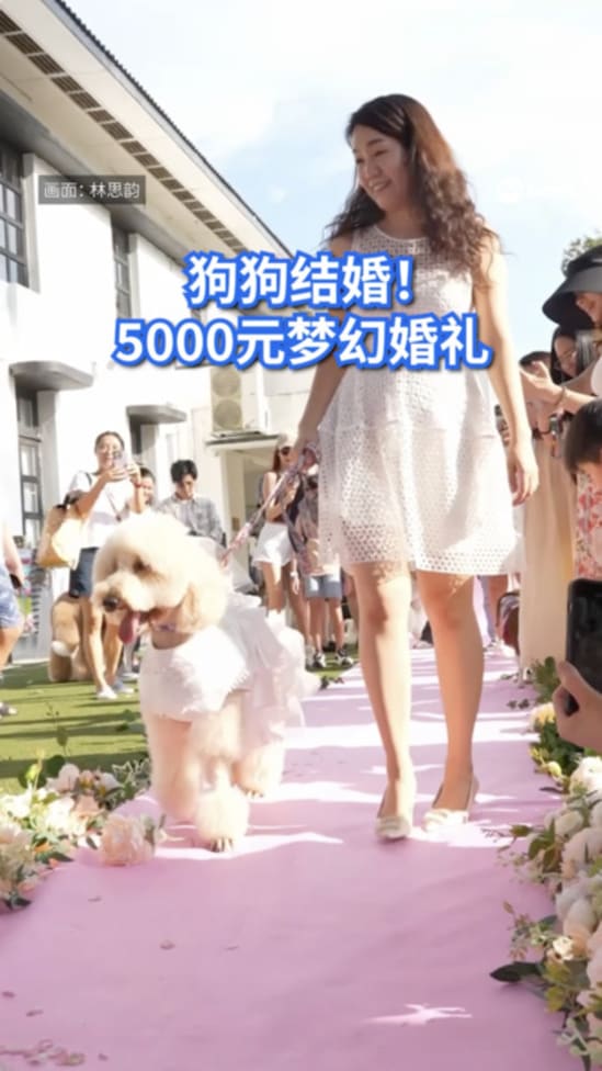 20250620_Dogmarriage