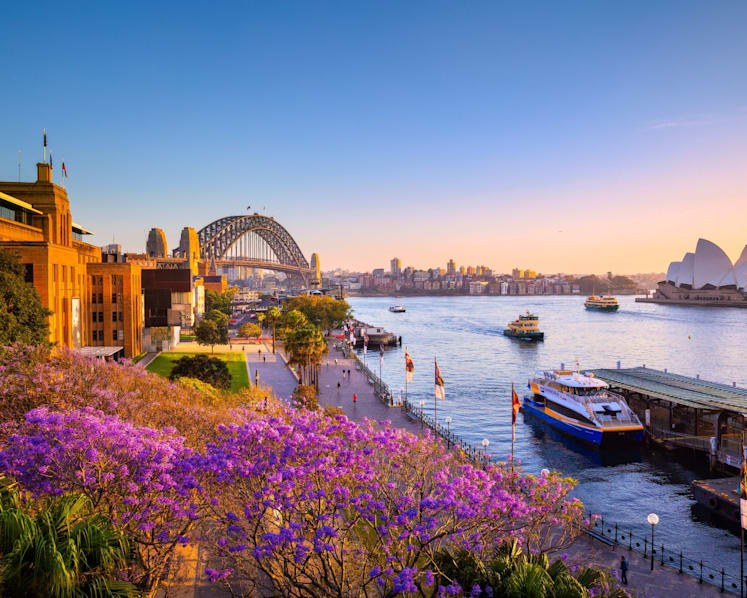 From shore to sky in Sydney and New South Wales: Savour fresh oysters, stay overnight in a zoo and go on a stargazing tour