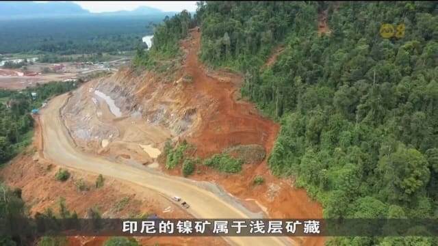 环保车受欢迎镍需求上升 印尼兴建更多镍矿冶炼厂危及林地