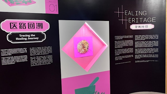 “望闻问切”特展开幕 回顾本地中医发展史
