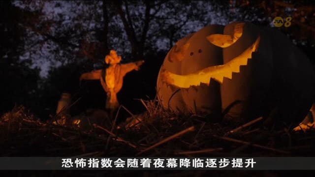 擎天绿植变身食人树 英国邱园首个万圣节体验开幕