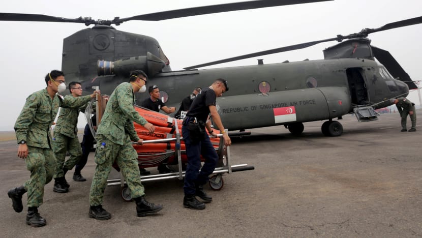 Singapore effort to fight haze ‘almost futile’