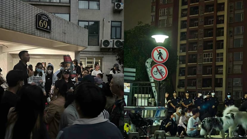 Rare protests erupt in China after dog abuse videos spark online anger Rare protests erupt in China after dog abuse videos spark online anger
